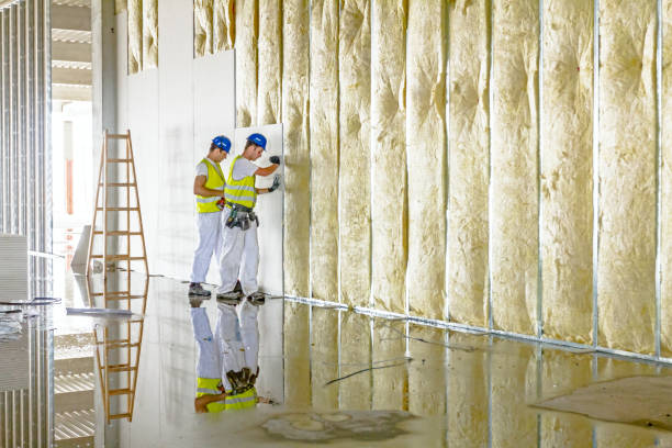 Best Geographic-Specific Insulation Services in Camas, WA